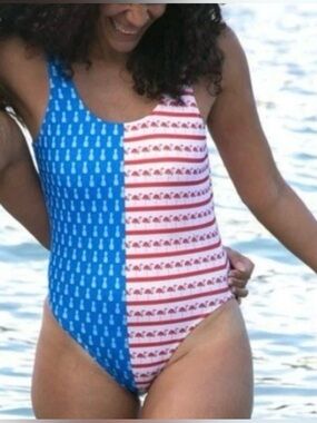 Chubbies The Fifty Nifty United States One Piece Swimsuit